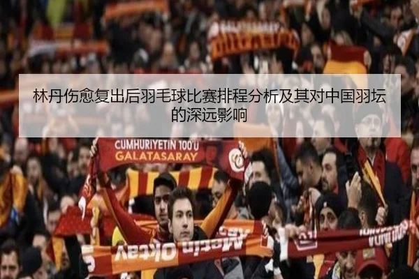 林丹伤愈复出后羽毛球比赛排程分析及其对中国羽坛的深远影响